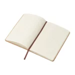 Notes din pluta Jaime Notes din pluta Jaime
