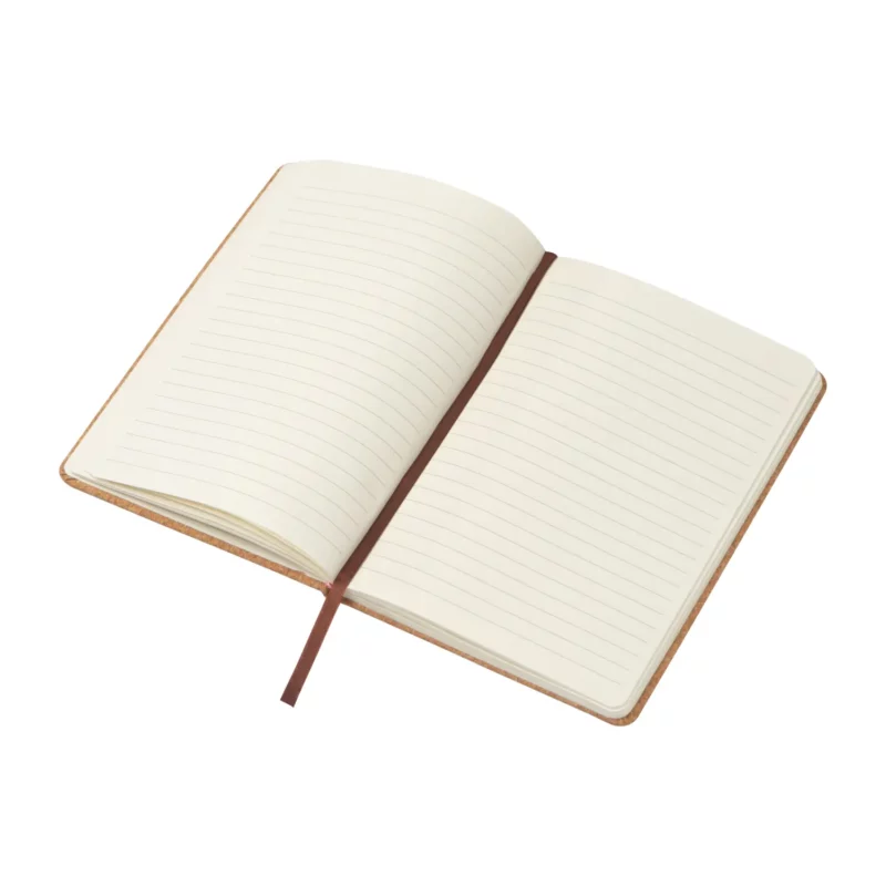 Notes din pluta Jaime Notes din pluta Jaime