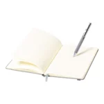 Set notes si pix Spinosa Set notes si pix Spinosa