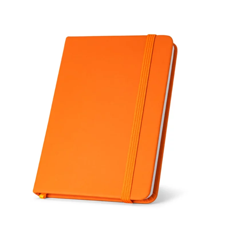 Notesuri personalizate Hemingway