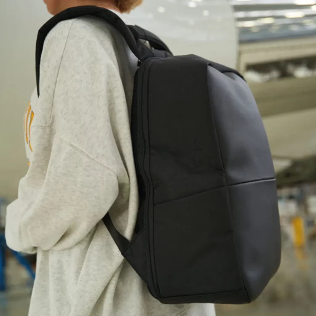 Rucsac pentru laptop Frances